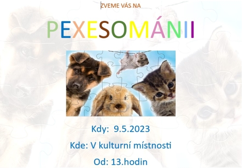Pexesování