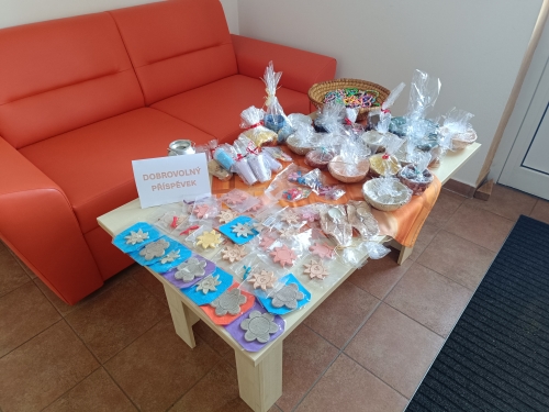 Týden sociálních služeb