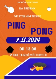 Stolní tenis - trénink